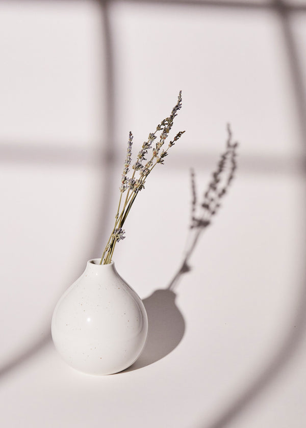 A small, round white vase with a speckled texture, holding a bouquet of dried lavender. The arrangement casts a shadow on a white surface.